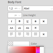 Customize Panel